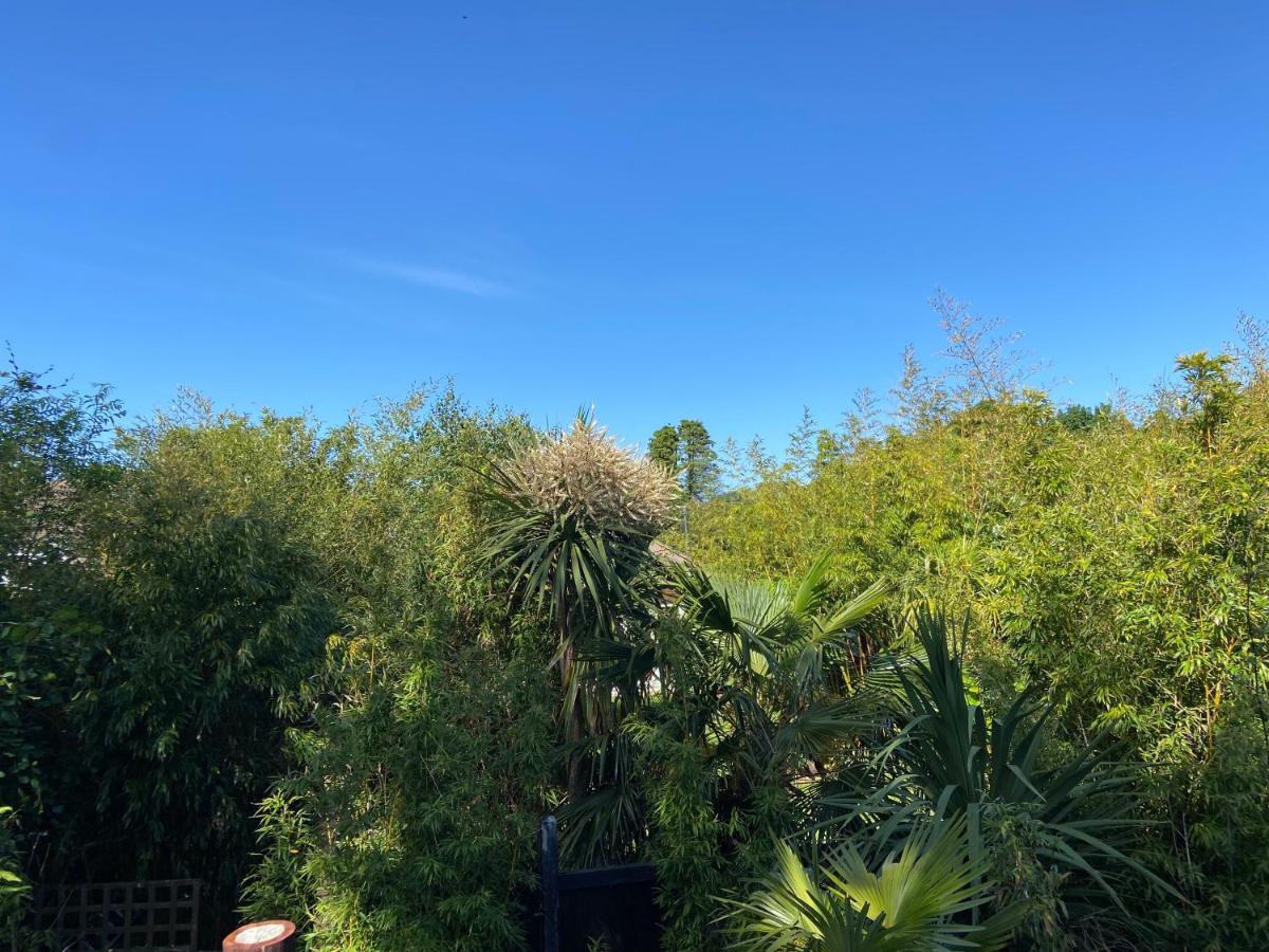 Jungle Cabin Martin Mill Εξωτερικό φωτογραφία