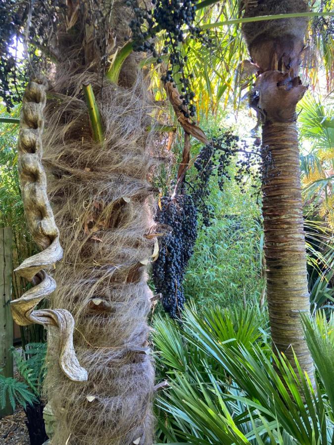 Jungle Cabin Martin Mill Εξωτερικό φωτογραφία