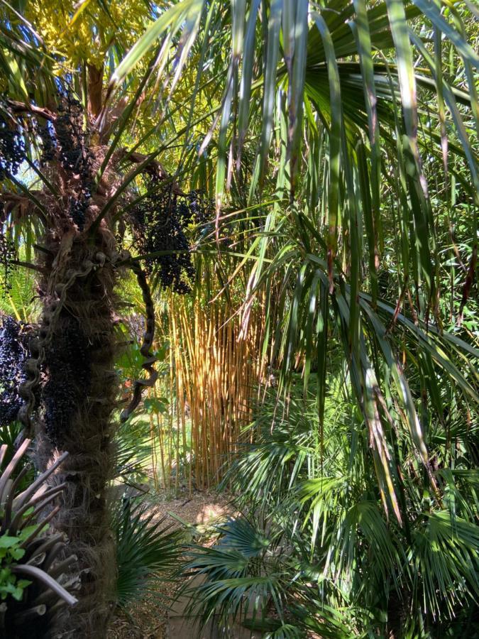 Jungle Cabin Martin Mill Εξωτερικό φωτογραφία