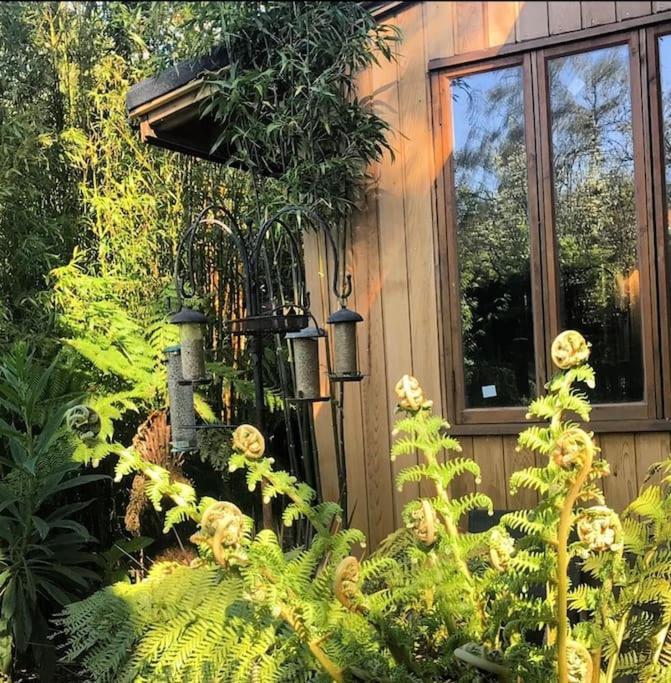 Jungle Cabin Martin Mill Εξωτερικό φωτογραφία