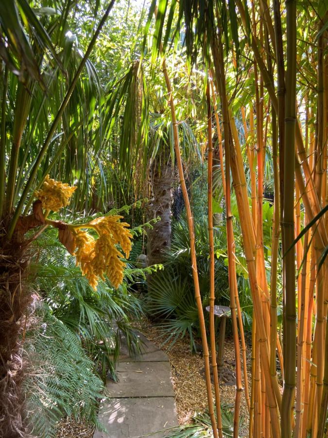 Jungle Cabin Martin Mill Εξωτερικό φωτογραφία