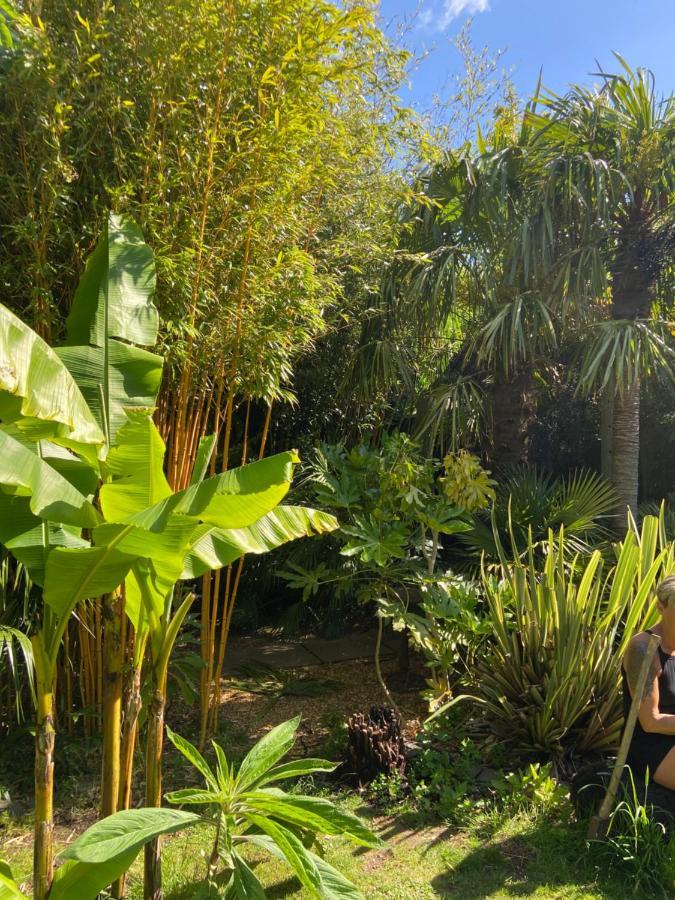 Jungle Cabin Martin Mill Εξωτερικό φωτογραφία