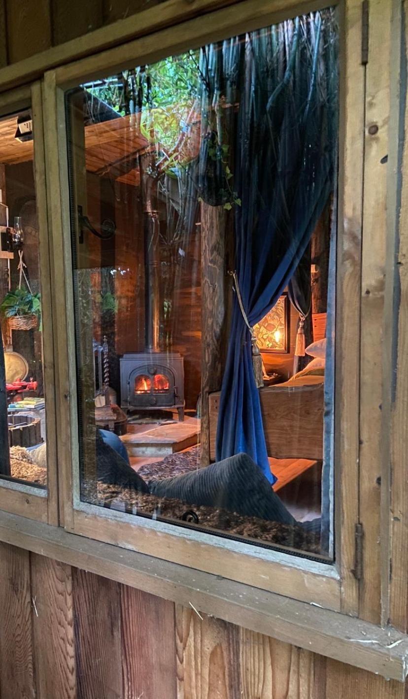 Jungle Cabin Martin Mill Εξωτερικό φωτογραφία