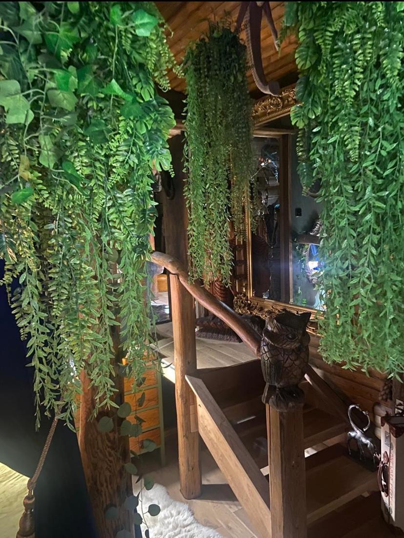 Jungle Cabin Martin Mill Εξωτερικό φωτογραφία